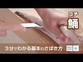 鯒（こち）のさばき方 - How to filet Bartail Flathead -｜日本さばけるプロジェクト