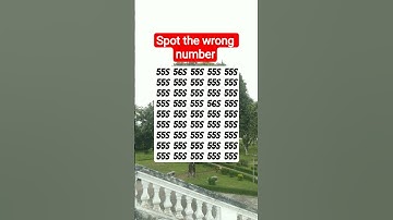 That tiny detail can trick even pros 🤯 #search #find #puzzle #brainteaser