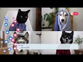 Furbo 360 Camera: Your Ultimate Pet Monitoring Solution #furbo #camera  #dog #pets #technology