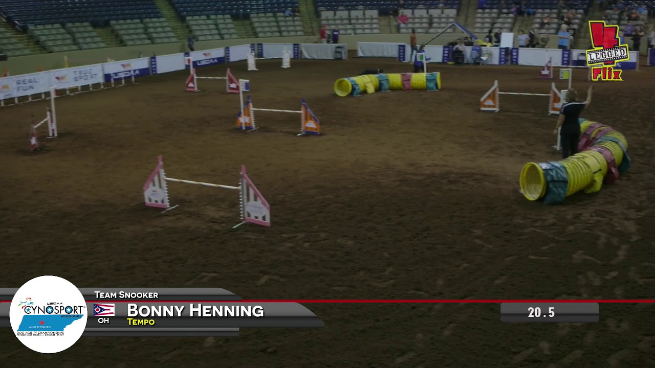 TempoH TeamSnooker Cynosport 2019