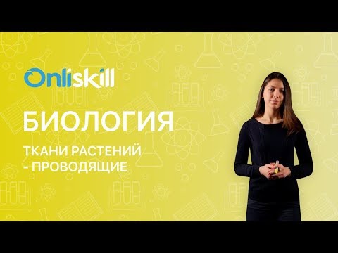 БИОЛОГИЯ 6 класс: Ткани растений - Проводящие