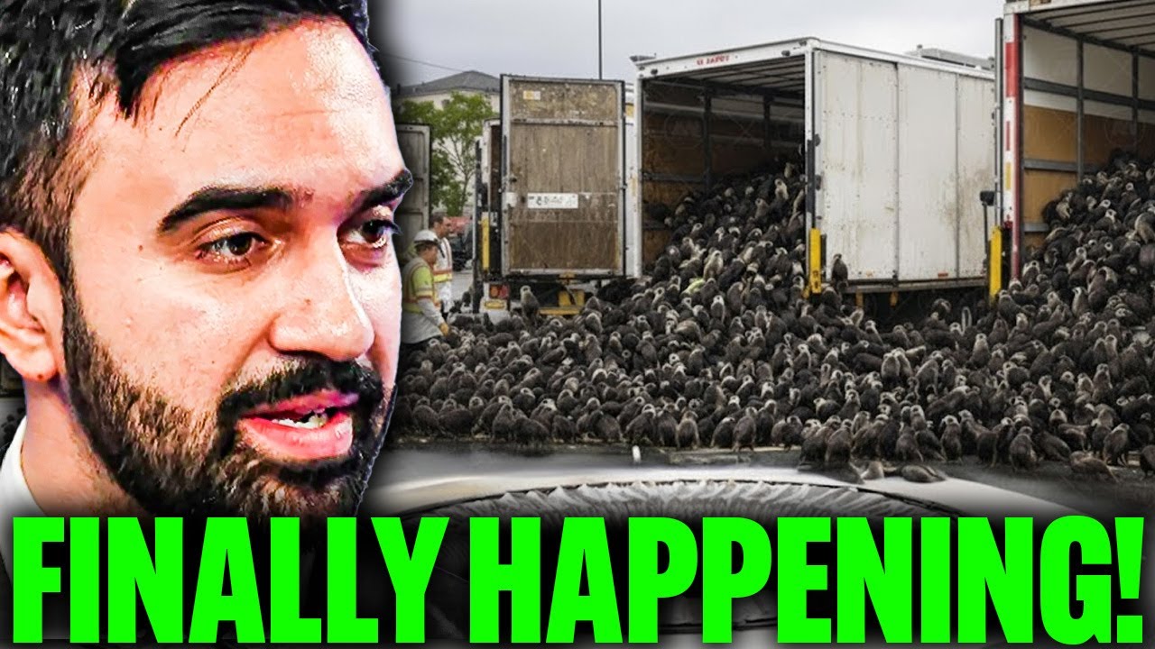 New York Released MILLIONS of Rat Killers… What Happened Next Messed Up Everything!