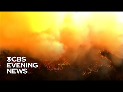 Thousands evacuate as California's Oak Fire explodes in size