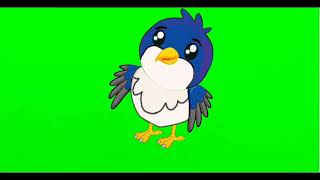 birds talking green screen / no copyright video screenshot 2