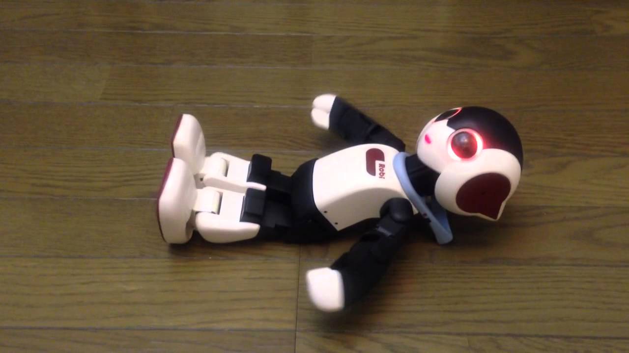 Awakening the first of "Robi" biped robot