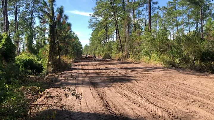 Raptor 700 vs YFZ 450