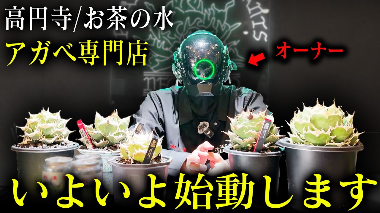 白鯨極上株/PLANET ROCK PLANTS YouTube