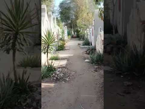 أنا طفل فلسطيني فلسطيني مات أبويا قصاد عيني وأرضي هي عرضي أدافع عنها طول عمري 