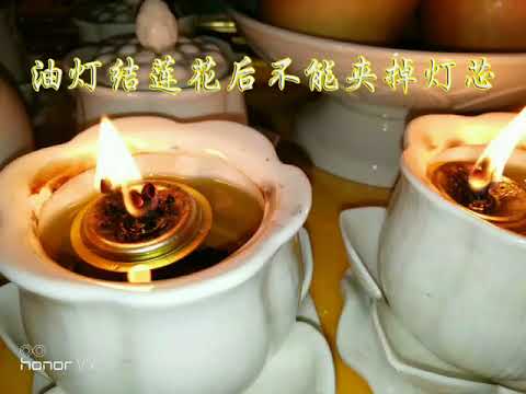 油灯结莲花后不能夹掉灯芯。