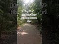 #music #viralvideo #nature #foryou #flowers #ihavethisthingwithplants #rain #likeandsubscribe #love