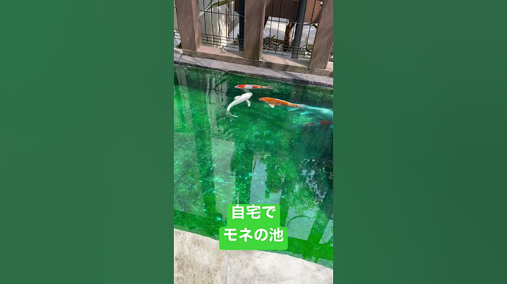 自宅でモネの池『池作り』