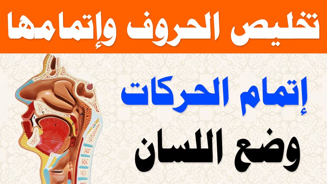 أهم دروس التجويد تخليص الحروف وإتمام الحركات عمليا مع التطبيق على الآيات