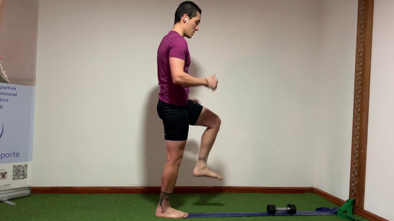 Flexion Y Extension De Cadera Youtube