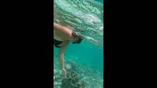 Iphone 14 Pro ile koruyucu cover kullanmadan Madivler'de sualtını çektim 🦀 İnanamayacaksınız!