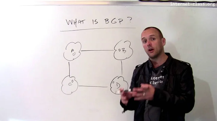What is the border gateway protocol (BGP)?
