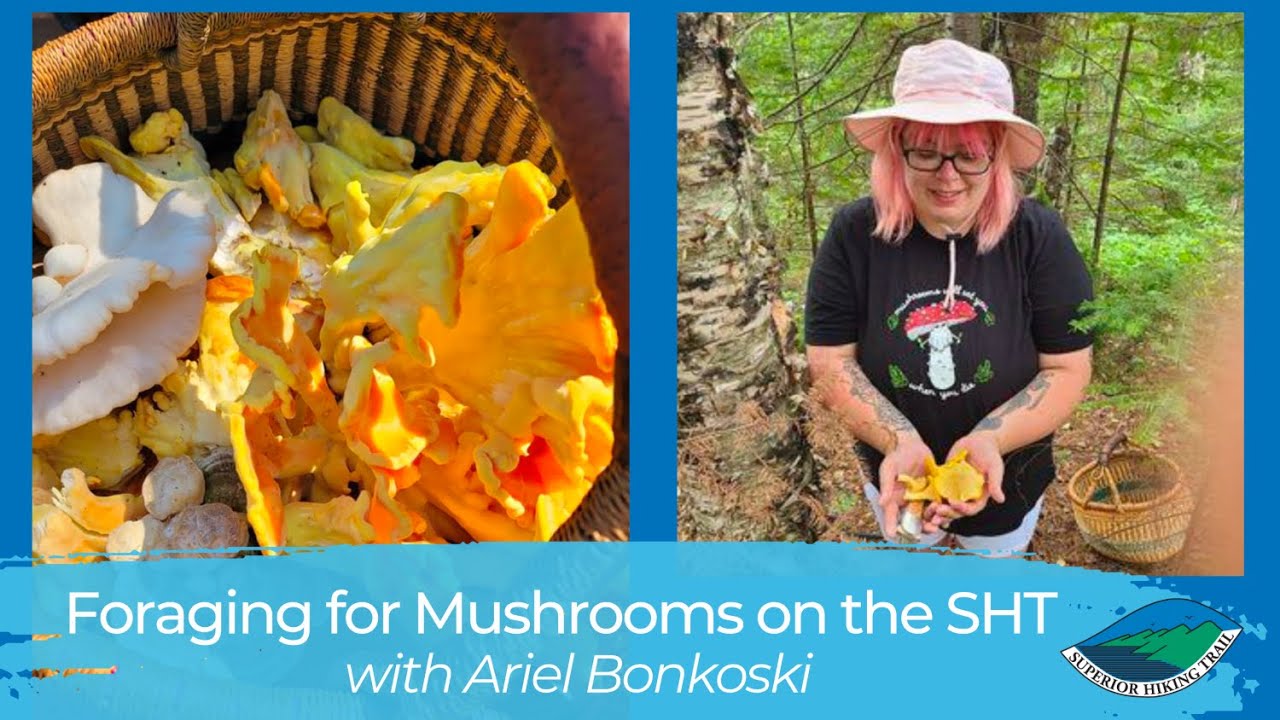 Foraging for Mushrooms on the Superior Hiking Trail