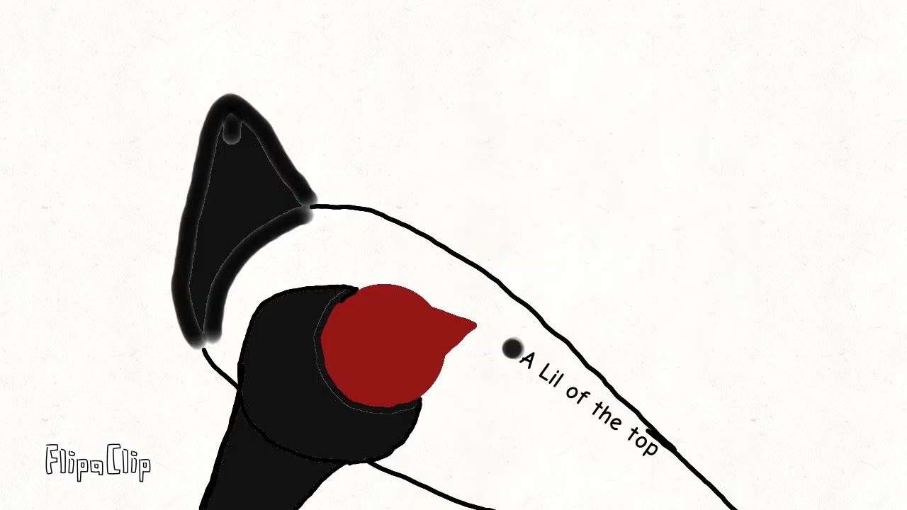 Animated Vine – CalebCity’s “Barbers Cutting Your Hair” | 2D Animation Comedy