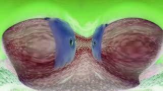 Deaf Finding Nemo (HD) - The Butt