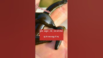 jaulaka        #ayurvedastudy   #aiapget#ayurveda#charaka #sushruta # #ayurvidaterapias #study #ayu