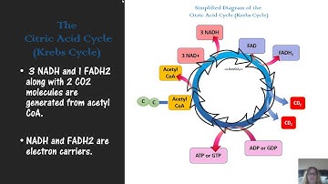 microbial metabolism mic exam study guide for exam 2