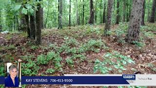 Home for sale - 1081 PEBBLE HILL LANE, Greensboro, GA 30642