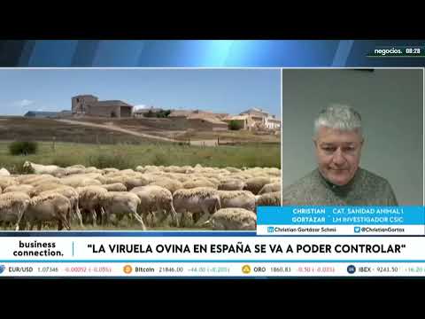 "La viruela ovina no es transmisible a las personas: no hay riesgo para el consumidor". C. Gort&aacute;zar
