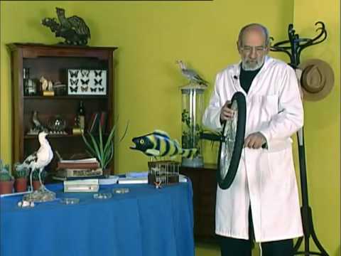 CYT-55. APRENDE: el efecto giroscópico.