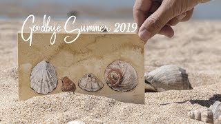 Drawing Seashells Summer 2019, Beach, Watercolor Painting, Everyday Life