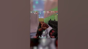 Shorty to Judge — Raze Said Sit Down! 😤💥