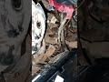 Tata Tiago B Mount replac #viralshort #viral #growth #growthvideo #explorepage #explore #songviral