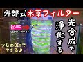ダイソーLEDで外部式アナカリス濾過装置を作って威力を試します【アクアリウムDIY】水草水槽