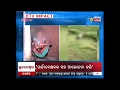 Malkangiri Rape Viral Video : Accused arrested - Etv News Odia