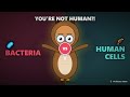More Bacteria Than Human Cells In Your Body