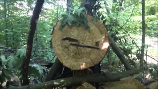 Knife Throwing Art - Grumpy Face
