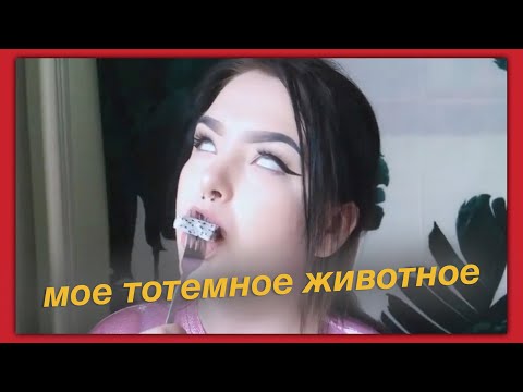 вот почему марина лакшис мое тотемное животное