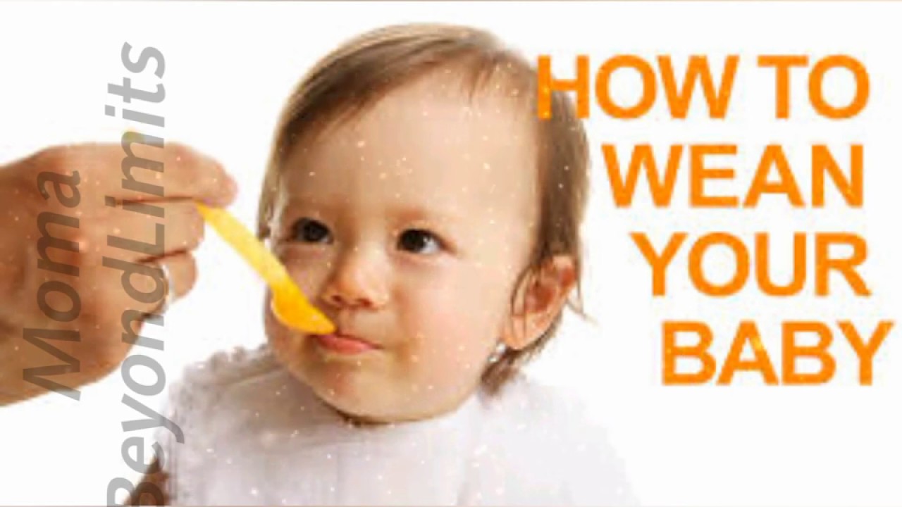 BABY WEANING6months baby weaning foodSeries1video1{S1V1} YouTube