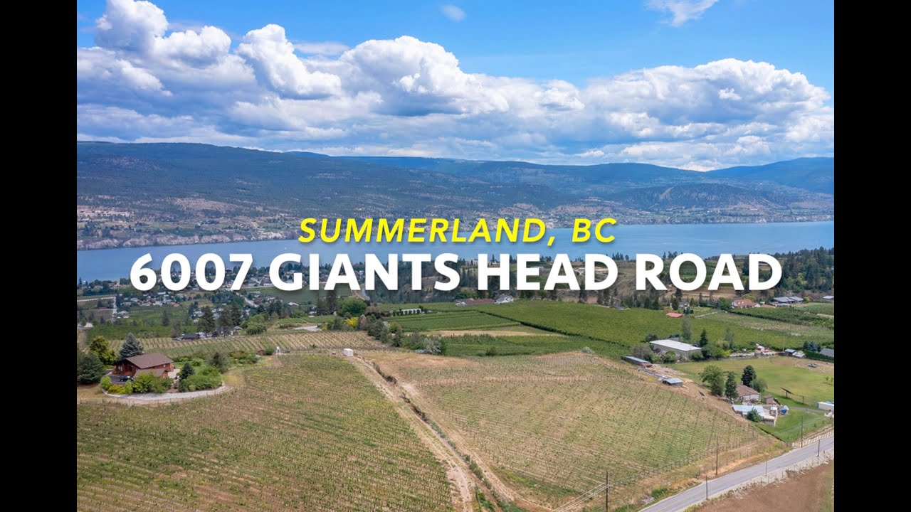 Organic Vineyard For Sale on Bottleneck Drive Wine Trail