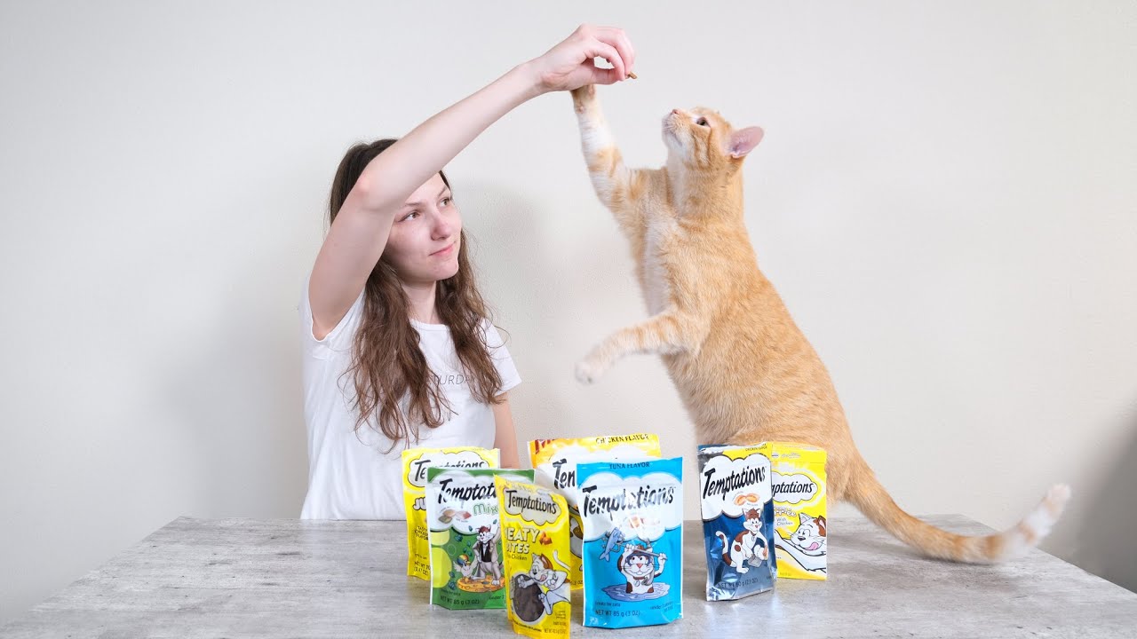 How Many Carbs In Temptations Cat Treats Update Achievetampabay How Many Carbs In Temptations Cat Treats Update Achievetampabay