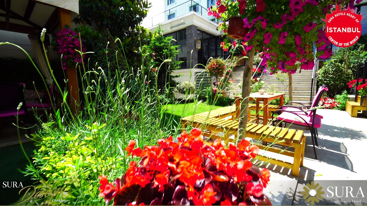 Welcome The Best Istanbul Hotel | Sura Hotel | Sultanahmet Hotel