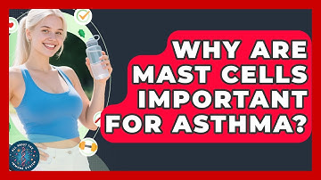 Why Are Mast Cells Important For Asthma? - All About the Immune System