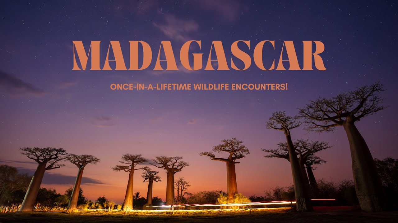 Madagascar Trip Report | ORYX Photo Tours