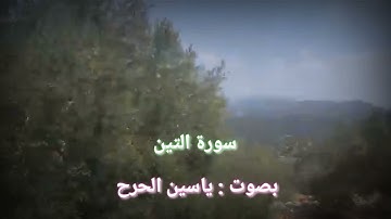 ||سورة التين #بصوتي _ محاكاة الشيخ ||رعد الكردي.