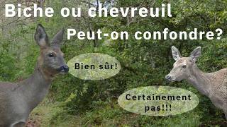 Savez-vous les reconnaître