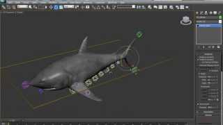 Tutorial Preview: Modeling, Texturing & Rigging a Realistic Shark in 3D Studio Max - Part 1
