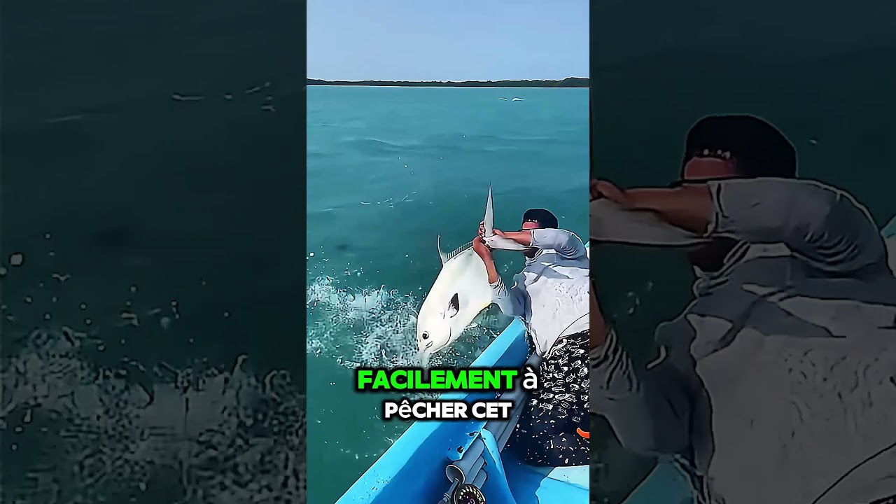 Incroyable ! Un homme pêche un énorme poisson de mer à mains nues ! 