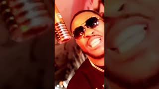 Freddieb The Great Donkey Ripdamic