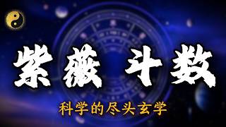 【零基础】传授紫微斗数，15000字深度拆解：不靠死记硬背，带你一眼看穿财富、官运与因果。