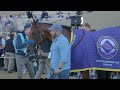 Future Stars Flashback: Co-owner Tom Ryan on Juvenile Winner Citizen Bull