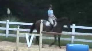 Louie: flatwork