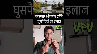 Security First Crocodile and snack Fence at India Bangladesh Border  #IndiaBangladeshBorder #BSF